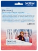 Kolekcja wzorów Disney Frozen II z grafiką przedstawiającą Annę i Elsę w lesie, z napisem Disney Frozen II Design Collection for Vinyl Auto Blade. Tło w odcieniach różu i niebieskiego, z białymi drzewami. Opakowanie z logo Disney.