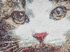 Program Bernina V9 Creator Full Version do projektowania haftów, przedstawiający szczegółowy, kolorowy haft kota z wyraźnymi oczami i nosem. Wzór o bogatej teksturze, z zastosowaniem różnych odcieni brązu, bieli i czerwieni.